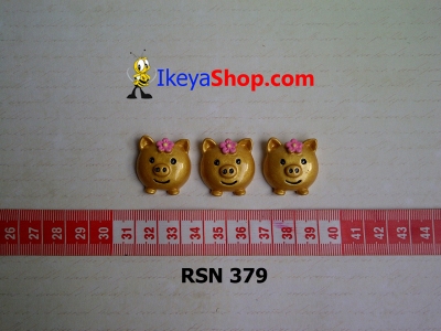 rsn 379  large2